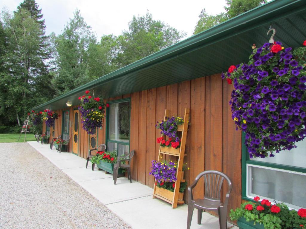 Dwight Village Motel Экстерьер фото